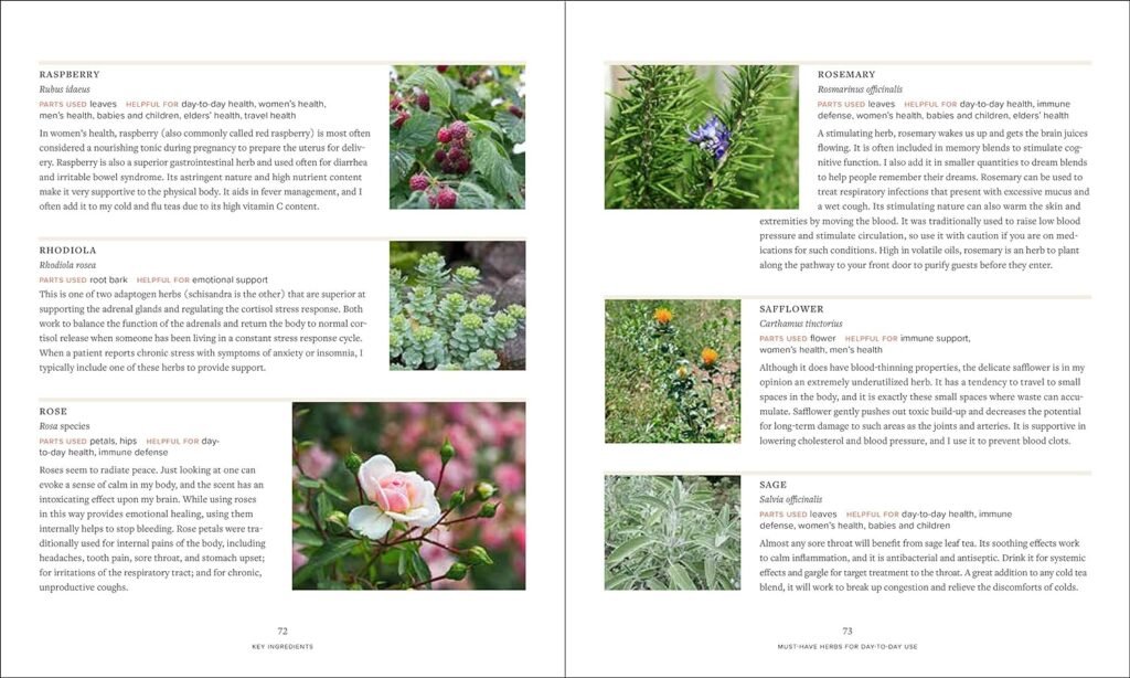 Master Recipes from the Herbal Apothecary: 375 Tinctures, Salves, Teas, Capsules, Oils, and Washes for Whole-Body Health and Wellness Paperback – Illustrated, March 19, 2019 Master Recipes from the Herbal Apothecary: 375 Tinctures, Salves, Teas, Capsules, Oils, and Washes for Whole-Body Health and Wellness Paperback – Illustrated, March 19, 2019