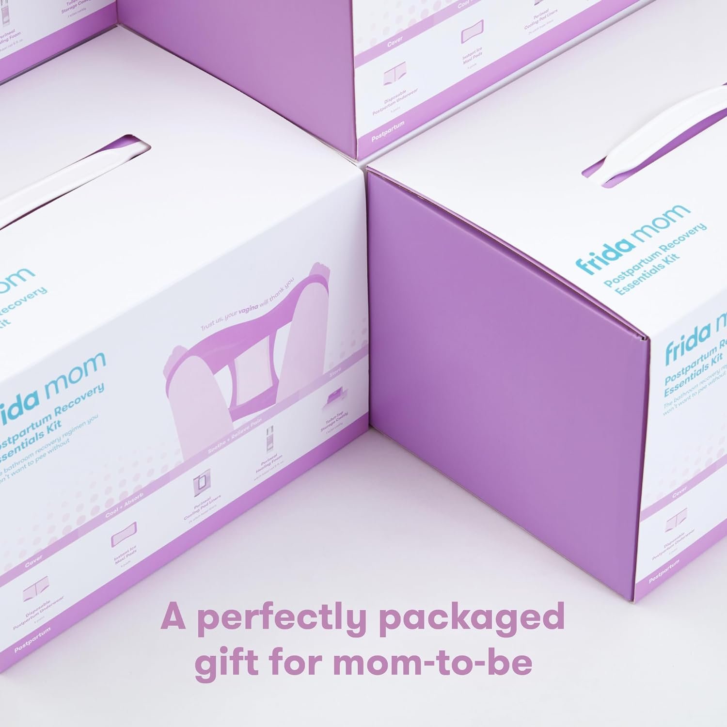 Frida Mom Postpartum Recovery Essentials Kit, New Mom Gifts, Cooling Pad Liners, Ice Maxi Pads, Disposable Underwear, Perineal Healing Foam (11pc Set) Frida Mom Postpartum Recovery Essentials Kit, New Mom Gifts, Cooling Pad Liners, Ice Maxi Pads, Disposable Underwear, Perineal Healing Foam (11pc Set)