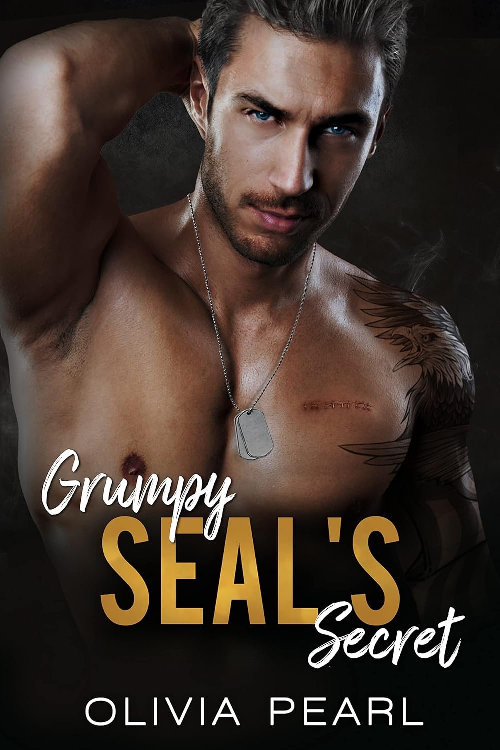 Grumpy SEALs Secret: An Enemies to Lovers Small Town Surprise Pregnancy Romance     Kindle Edition